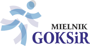 Logo GOKSiR png